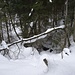 ... des Änderenbachs; mit geknicktem, doch dekorativ schneebehangenem Baum