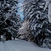 Stupendo paesaggio 