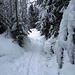 Romantischer Waldweg nach Schlatt - hier führte der alte Weg von Teufen nach Appenzell hindurch