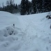 Typisch alter Weg - trotz Schnee ist die Hohlgasse zu sehen