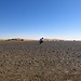 Die Einöde der Sahara und im Hintergrund die Sanddünen. Die Steine sind allerdings höchst interessant hier!