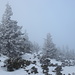 Im Abstieg von der Schneekoppe (tsch. Snĕžka) in Richtung Rosenberg (tsch. Růžová hora) - Mystik, Tristesse oder einfach nur Nebel? Zumindest ist es ziemlich grau, während wir talwärts durch die verschneite Landschaft stapfen.