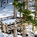Wow - diese coole Baumhütte. Ob da Papi mitgeholfen hat?