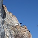 <b>Monto le pelli e mi preparo per la salita fra il gracchiare di gracchi alpini e di corvi. 
Il corvo è uno di quegli uccelli che possono vantare una quantità di tradizioni popolari e di mitologia, spesso contraddittorie. È simbolo di nascita e di morte, di misticismo e di magia.
Nel Vicino Oriente era considerato immondo, in quanto uccello spazzino: infatti, è tra gli alimenti proibiti dalla Bibbia. È uno degli uccelli che Noè fece uscire dopo il diluvio, ma che non fece ritorno all’arca.
Nell’ambito dei presagi, il corvo vanta una lunga storia. Durante il Medioevo, si riteneva che il gracchiare dei corvi presagisse la morte o il risultato di una battaglia.
<img src="http://f.hikr.org/files/1693237k.jpg" />
Il corvo: illustrazione di Gustave Doré. </b>
