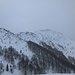 Eccola la Fojorina