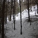 Ecco dove ho dovuto risalire ma ero almeno 100 metri più sotto e mi sono insultato già abbastanza io da solo di non fare cagate,grazie al mio gps me ne sono venuto fuori una faticaccia con la neve impregnata ecco,grazie gipi nr1