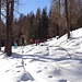 Auch Skitürler nehmen den Aufstieg durch den Wald