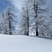 .... che spettacolo.....