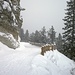 Winterwanderweg und Schneeschuhtrail von der Alp Champatsch nach Lü