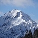 Stripsenkopf, prächtig gewandet
