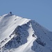 Stripsenkopf im Zoom