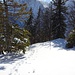 Lärcheggblick beim Abstieg