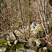 Unterwegs zum Fuss des Wasserfalls finden sich orange Tupfer und Steinmännchen