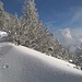 Es gab Winter, da hast von den Latschen nix g'sehn, denn...[http://www.hikr.org/gallery/photo1687896.html?post_id=91656#1]