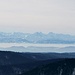 Schönes Panorama. Der höchste Berner zwischen Schreck- und Lauteraarhorn