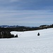 Das Herzogenhorn kann mit einer 1,7 km langen Abfahrt über offene Hänge und 500 Hm nach Bernau-Hof aufwarten, was für den Schwarzwald nicht schlecht ist. Die längste Skiabfahrt des Schwarzwaldes führt vom Herzogenhorn über 7 km nach Todtnau (Hinterwaldabfahrt)