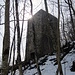 An der Ruine Schalksburg ( 910m )