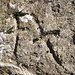 Gut sichtbare Kreuze auf dem Steindenkmal ob Brontallo