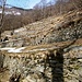 Terrassierungen oberhalb Margonegia - alles gut unterhaltene Trockenmauern