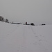 Alles weiß und grau