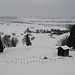 Vernebelter Blick aus dem Wald