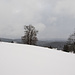 Ausblick mit Verbesserungspotenzial