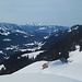 Schau über die Obere Wilhemine-Alpe ins Alpstein