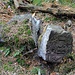 Flurgrenzstein Nr. 138, zerstört durch Forstarbeiten