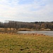 Olešský rybník, naturnahes Seeende