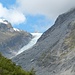 auf dem Weg zum Fox-Glacier Lookout 