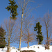 Herbst, Winter, Frühling, von allem etwas