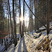Steig zum Kienbach