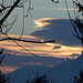 Föhnfische im Abendlicht