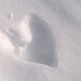 heart in the snow....