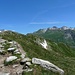 Dave vs. Walliser Alpen