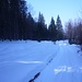 In den Schattenlagen: eine wunderbare intakte Winterlandschaft. 