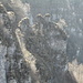 Detailaufnahme aus der Generoso-Westwand