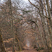 Nördlich des Parkplatzes befindet sich der GR1, welchem wir aufgrund des langweiligen Wegverlaufs nicht folgten. Stattdessen gingen wir auf Weg Nr. 7 (blau markierter Rundweg von ca. 7 km Länge)