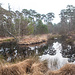 Mare aux Pigeons