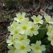 la primavera incombe