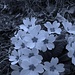 variazione di luce....