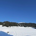 Über dem Wald ist der Gipfel zu sehen
