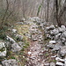 il sentiero 7 nel bosco verso Sambrosera
