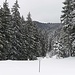 hier zweigt der Weg zum Elmauberg ab