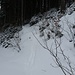 eine alte Skispur weist den Weg hinauf