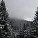 das vordere Hörnle liegt tief in den Wolken