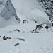 Die Südostflanke der Jungfrau 4158m im Abstieg - Rechts ist noch eine Sicherungsstange zu erkennen.
