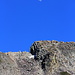 The rising moon with the highpoint of Devils Peak seen from west