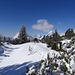 traumhafte Winterlandschaft auf dem Gipfelplateau