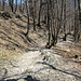 nach dem kurzen, rund fünfminütigen Aufstieg in der Direttissima wird der Wanderweg nach San Bernardo erreicht